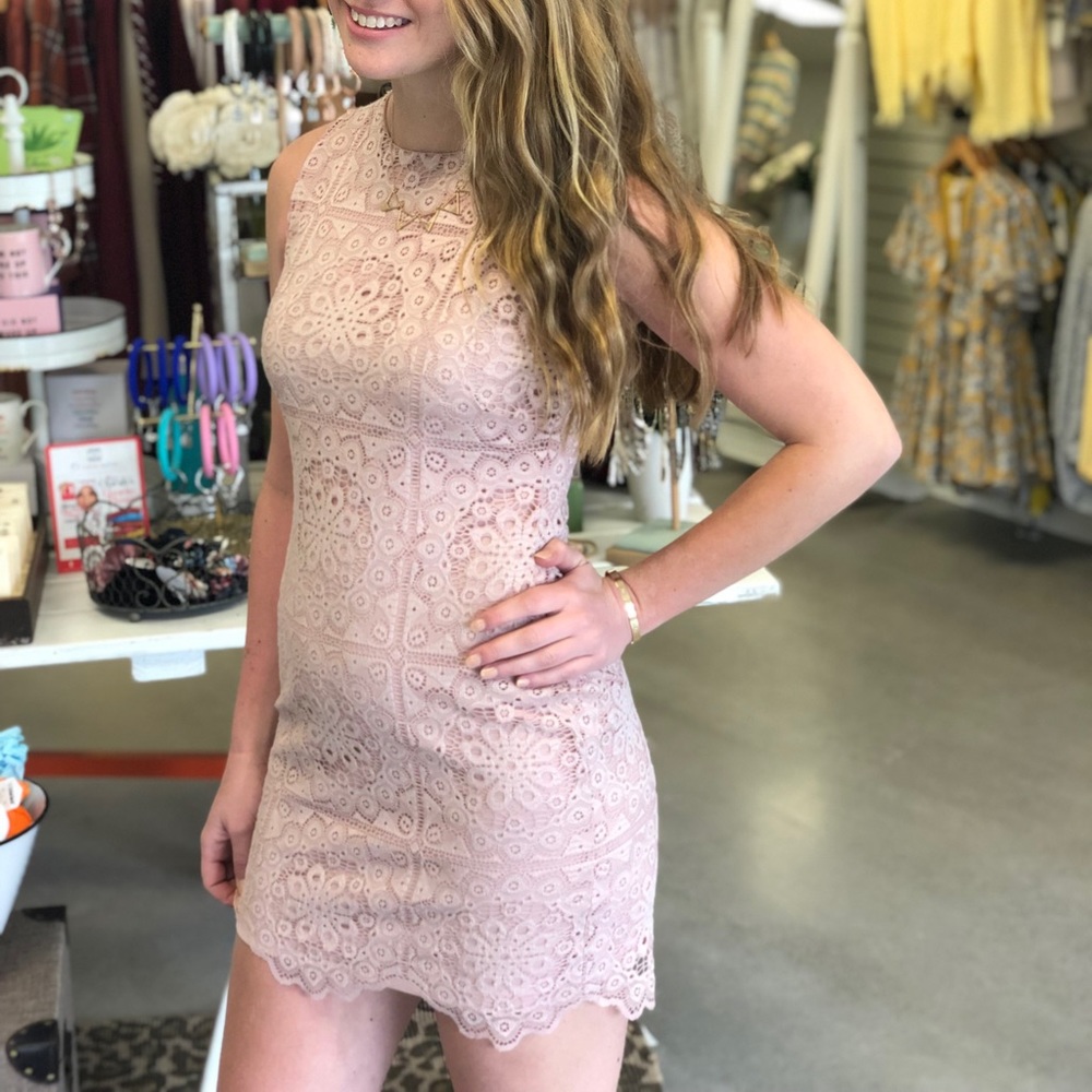 Jack by BB Dakota Blush Lace Dress